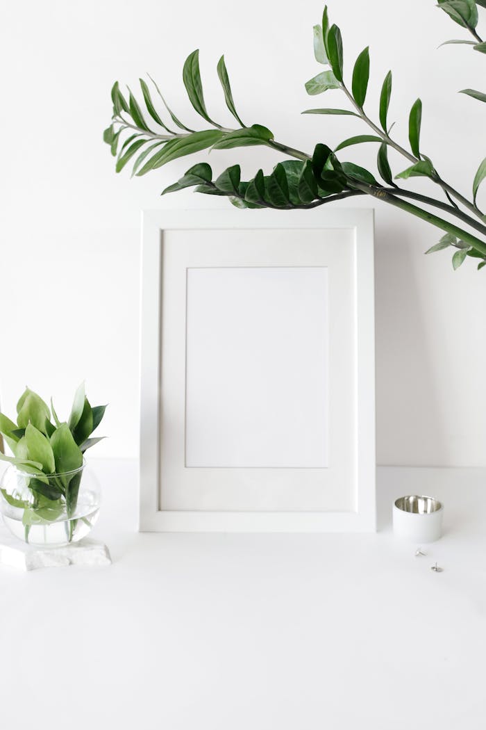 A clean, minimal desk setup with white frames and lush green plants for a fresh office vibe.